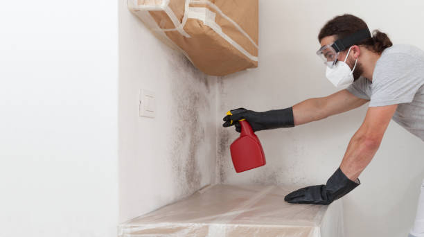 Professional Mold Remediation technician working in Frankfort, MI